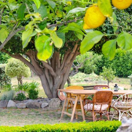 Villa La Casa Di Lina - Capo D'Orlando, Casa Con Ampio Giardino Exterior foto