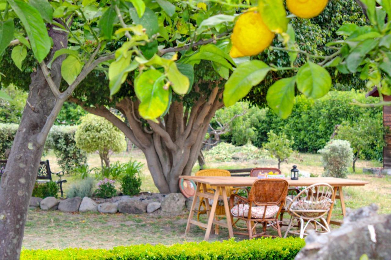 Villa La Casa Di Lina - Capo D'Orlando, Casa Con Ampio Giardino Exterior foto
