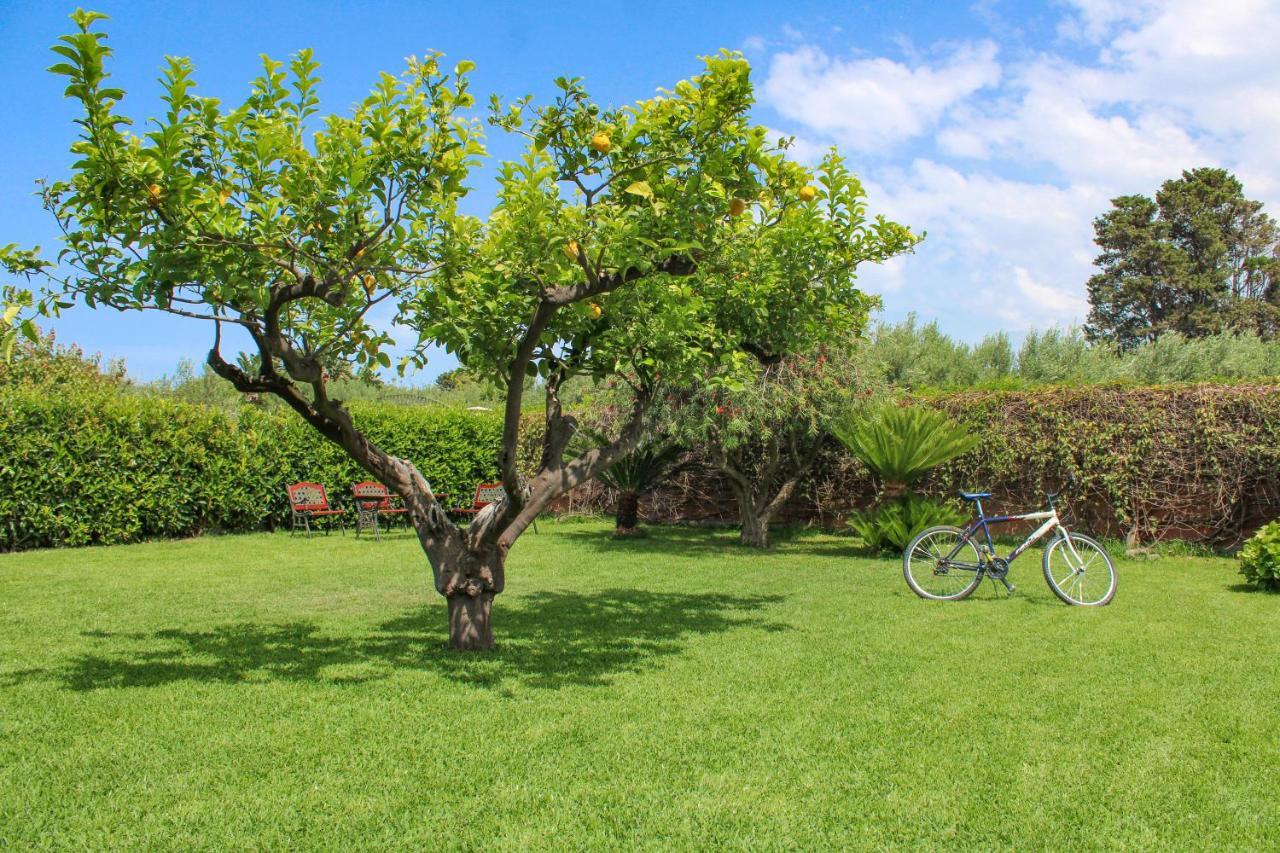 Villa La Casa Di Lina - Capo D'Orlando, Casa Con Ampio Giardino Exterior foto