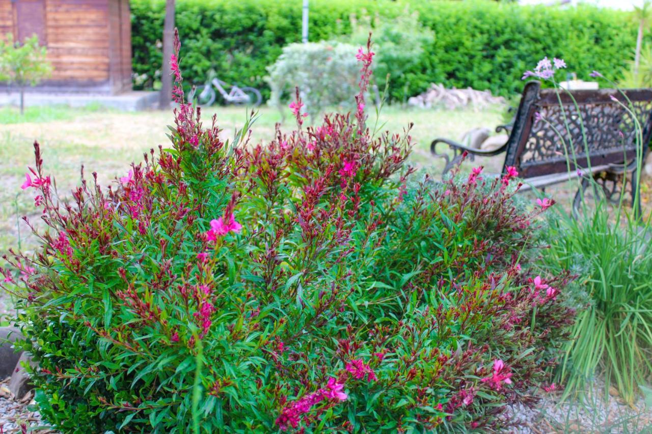 Villa La Casa Di Lina - Capo D'Orlando, Casa Con Ampio Giardino Exterior foto
