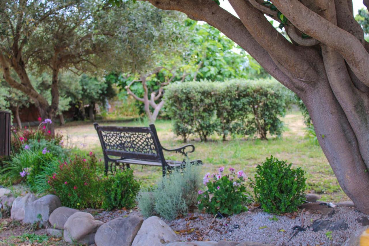 Villa La Casa Di Lina - Capo D'Orlando, Casa Con Ampio Giardino Exterior foto