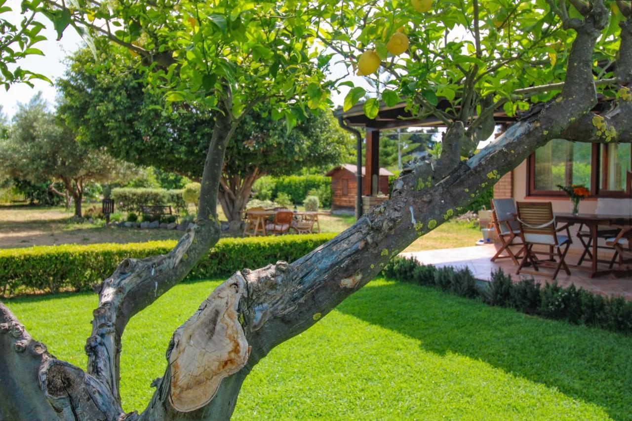 Villa La Casa Di Lina - Capo D'Orlando, Casa Con Ampio Giardino Exterior foto